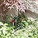 Grand Patio HAVER FLOWER SHAPED SOLAR LIGHT