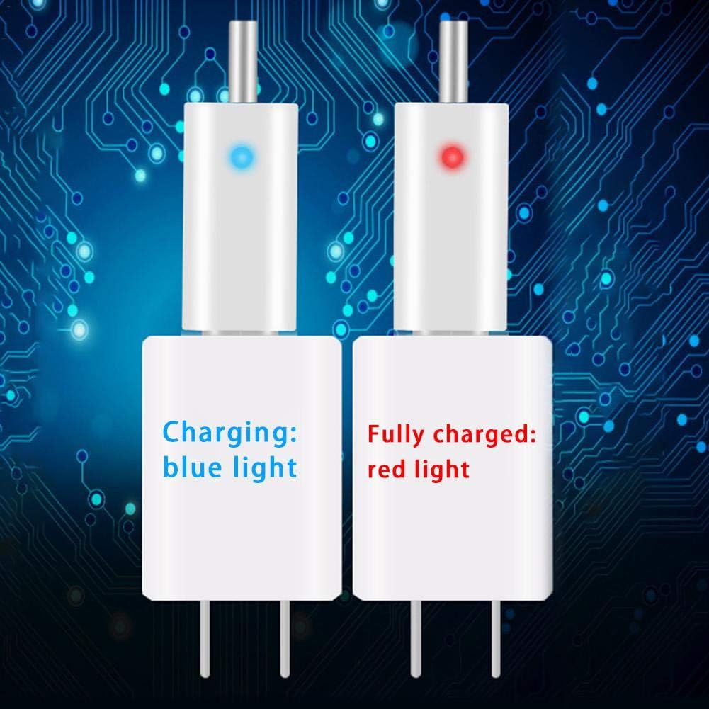 Amazon Co Jp 電気ウキ用ピン型リチウム電池 Usb充電器セット 釣りギアフロート充電器 発光電子フロート充電器 Usb充電器 複数の充電方法をサポート 急速充電 使用し安全 ポータブル 長い使用時間 耐久性 夜釣り 竿先ライト用 Usb充電式 電気ウキ ホーム キッチン