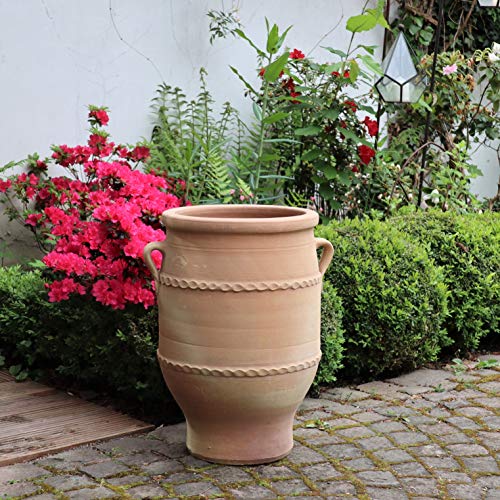 Palatina-Keramik | Terracotta Amphore | 50 cm | Pflanzkübel, Pflanzgefäß, Balkon, Garten, Terrasse Thymus 2 – Bild 4