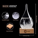3DHOME Storm Glass Weather Bottle Weather Station with Thermometer Hygrometer view 4