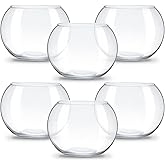 Clear Bowl Glass Vase Bubble Glass Round Vase Clear Bubble Planter Terrarium Fish Bowl Vase for Wedding Event Home Decor Flowers Fish(6 Pcs,4.5 x 3.7 x 5.9 Inch)