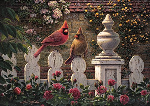 Buffalo Games Emily's Garden by Kim Norlien Jigsaw Puzzle (300 Piece) Large