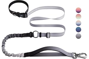 Roses&Poetry Hands Free Dog Leash for Medium Large Dogs Heavy Duty, No Pull Bungee Dog Running Waist Leash for Walking Training with Car Seatbelt 4-6FT