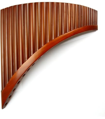 Amazon.com: 22/25 Pipes C Key Professional Pan Flute Chinese
