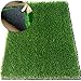 ZestyNest Artificial Grass Doormat with SmartDrain Technology - Welcome Door Mat for Entrance Way & Porch- Outdoors and Indoors (24X18 Inches)