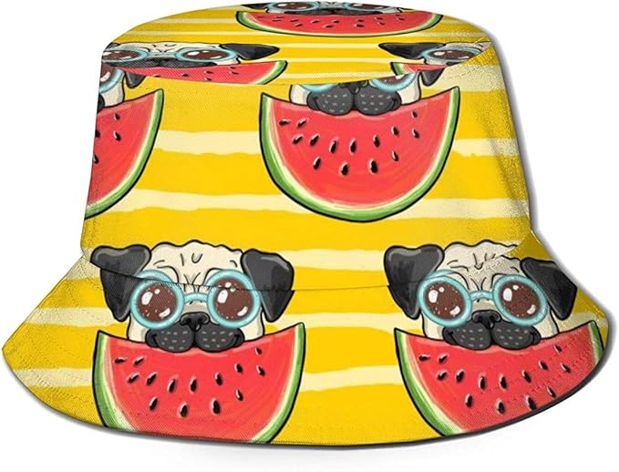 Perro Con Sandia En La Cabeza