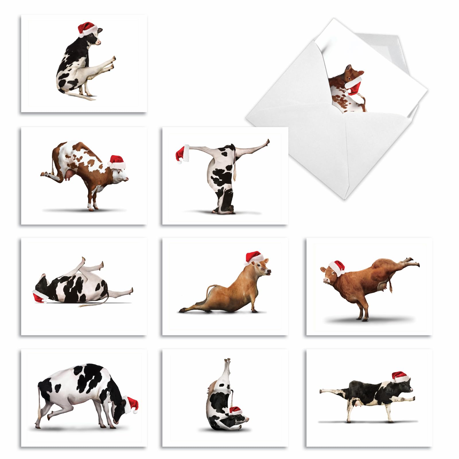 M6545XSB Holiday Bovine Nirvana: 10 Assorted Blank Christmas Note Cards Featuring Fun and Flexible Cows Practicing Yoga Poses While Wearing Christmas Hats, w/White Envelopes.