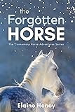 The Forgotten Horse - Book 1 in the Connemara Horse