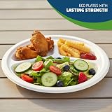 1ABOVE 10 Inch 3 Compartment Sugarcane Plates 50 Pack Eco Friendly Biodegradable view 5