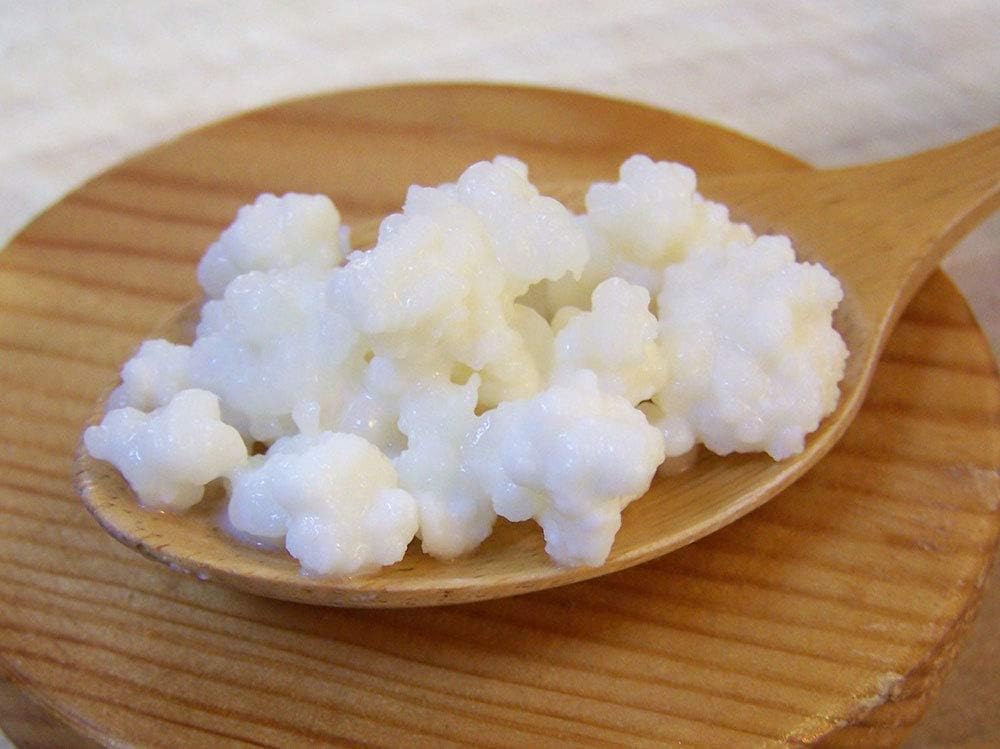 Finest Quality Milk Kefir Grains SCOBY in UK + Free Delivery & Recipes Crave Longevity® (10g)