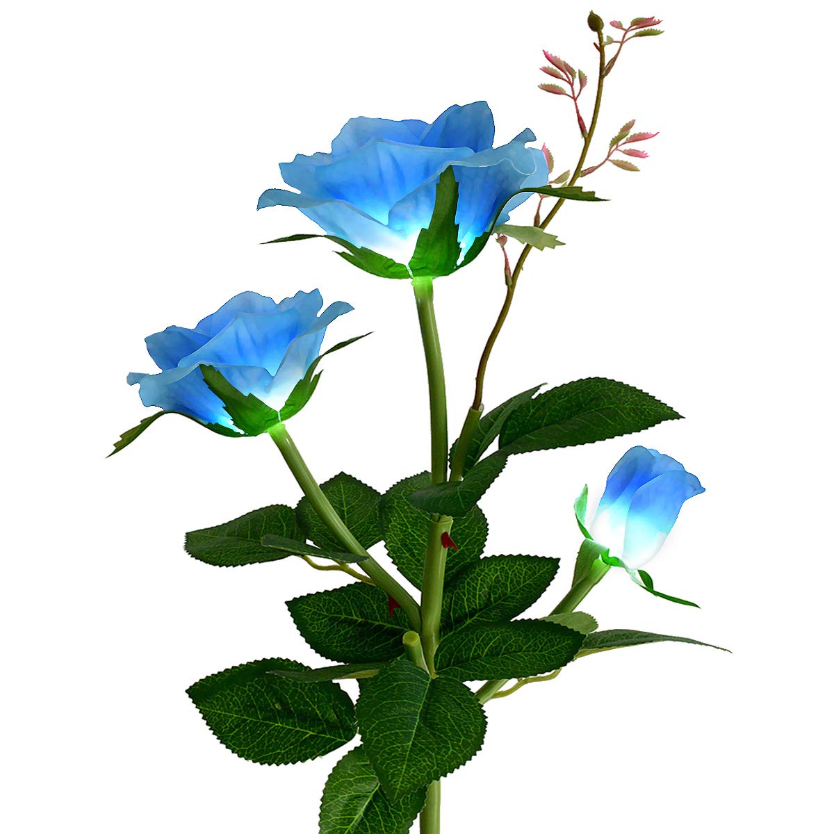 Best Solar Garden Flower Lights Red Rose Glass