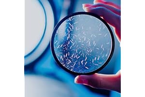 KOGJAERS Prism Lens Filter 82mm Starlight Glare Filter Anamorphic Lens Flare Effect Filter Film Props(Rainbow ray Flares)