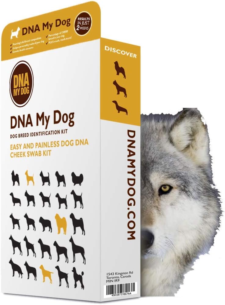 hybrid test wolf or coyote test plus canine dna breed identification test