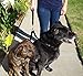 Leash Boss Duo - Adjustable Double Dog Leash for Large Dogs - Reflective No Tangle Leash for Walking Two Dogs at Once (Reflective Coupler with Handle)