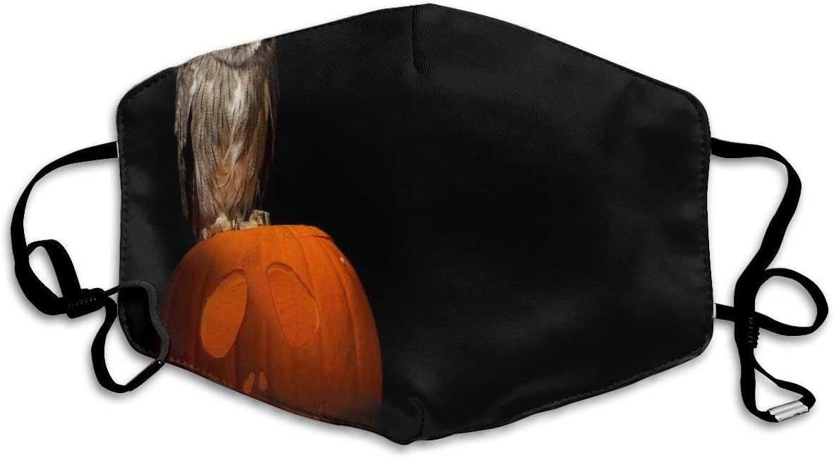Owls Birds Pumpkin Halloween Fabulous Dust Mouth Mask Reusable Anti-Dust Face Mask Adjustable Earloop Skin Protection