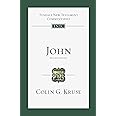 John: An Introduction and Commentary (Volume 4) (Tyndale New Testament Commentaries)