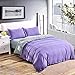 SORMAG Microfiber Queen 3-Piece Duvet Cover Set with 2 Pillow Shams, (Light purple/gray)