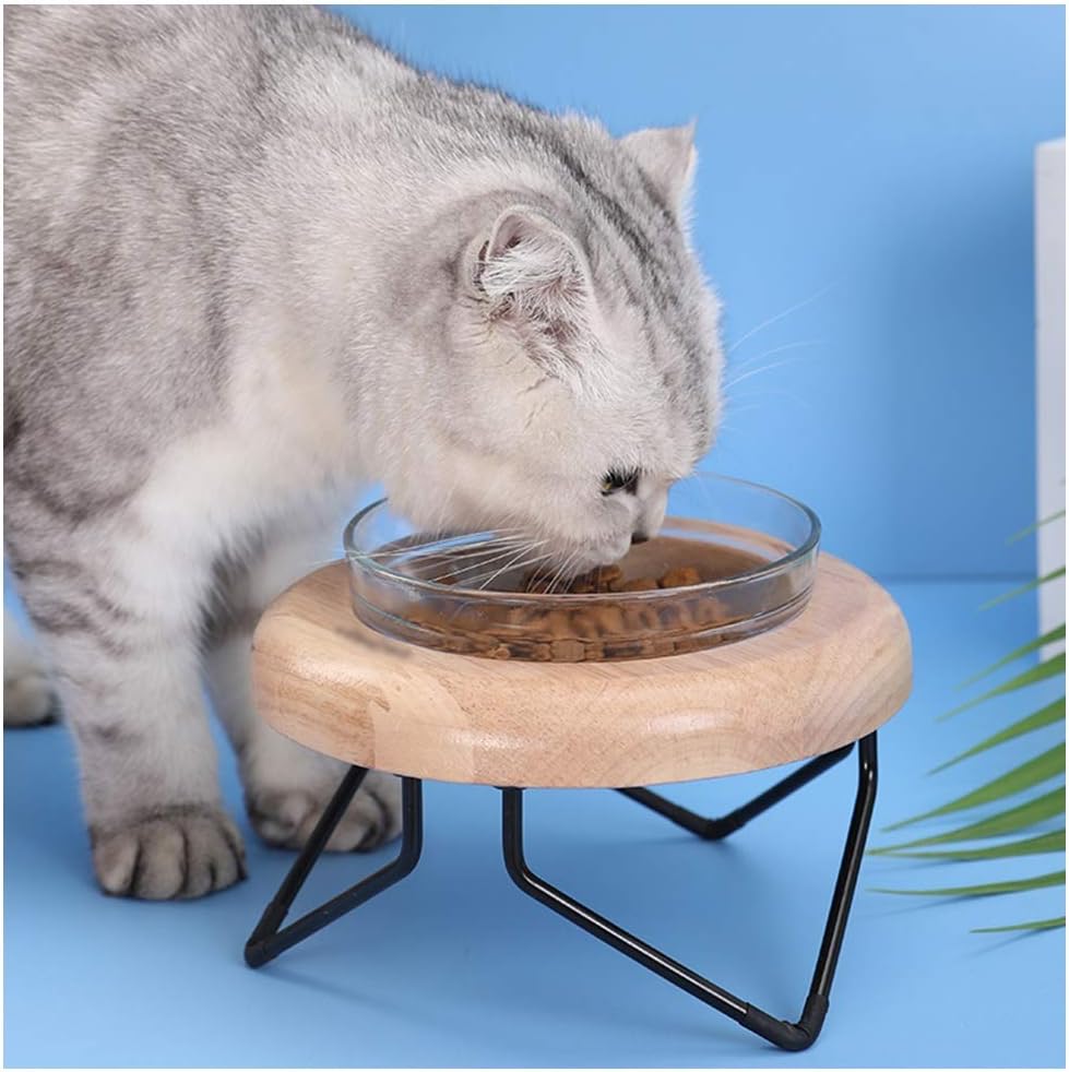 pets at home cat bowls