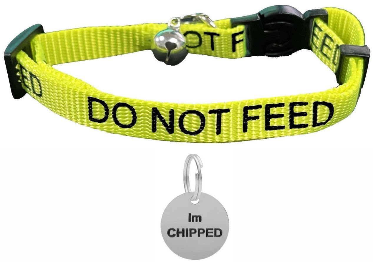 LARRYROO Cat Collar With DO NOT FEED Print - Soft Nylon & Safety Release Buckle - With Personalised Engraved Round Silver ID Tag with IM CHIPPED Print (Yellow)