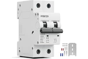 Pjerjzn Miniature Circuit Breaker 120/240VAC 60A Double Pole Circuit Breaker DIN Rail Mount,Thermal Magnetic AC Disconnect Switch for House, Electrical Systems, Emergency Generators (60 Amp)