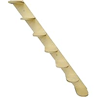 Outstanding Cat Stairs On Wall Amazon Photos
