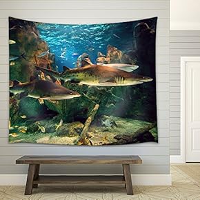 Two White Sharks in Istanbul Aquarium. - Fabric Wall Tapestry Home Decor - 51x60 inches