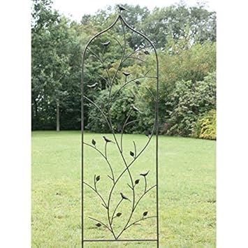 Metall Spalier Vogel 45x152 Cm Rost Amazon De Garten