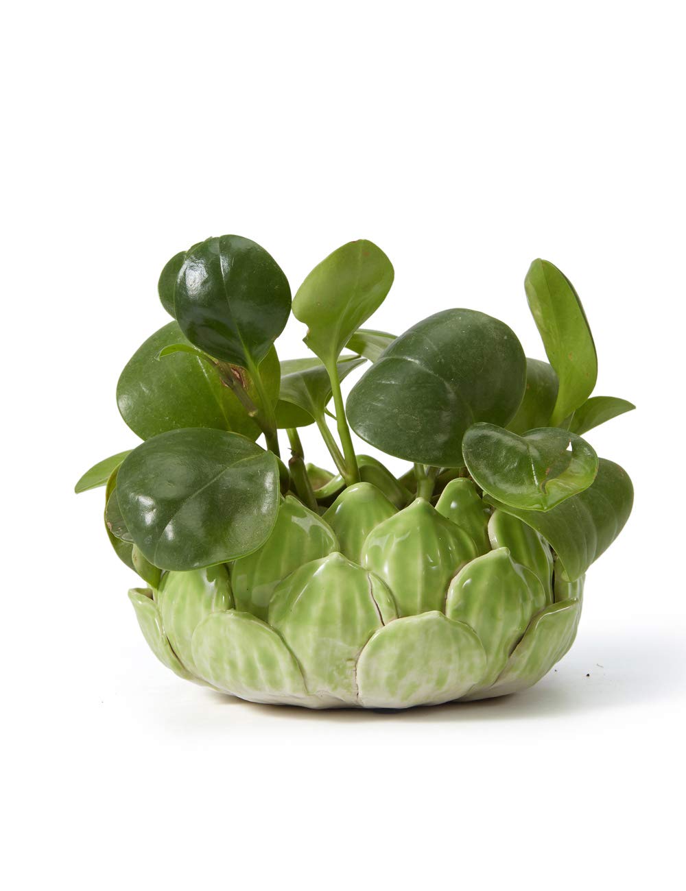 SEINHIJO Ceramic Planter Pot Cacuts Succulent Decor Gifts Flower Ornament Modern Indoor Sculpture Table Centerpiece Arts Crafts Green 18cm