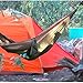 BFULL Hammock Straps, Hammock Tree Straps Combined 20' Ft Long,2200 LBS Strength ,100% No Stretch Polyester ,40 Loops, Quick&Easy Setup For Camping,Hiking or Backyard