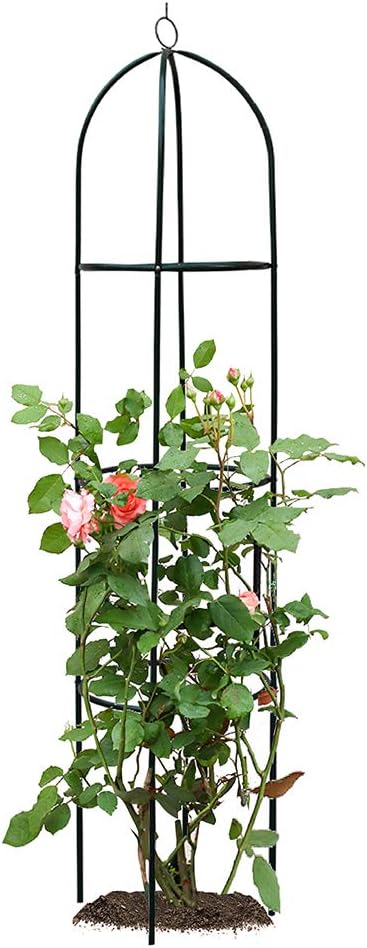 10 Mejores Enrejados De Hierros Forjados : Noviembre 2020