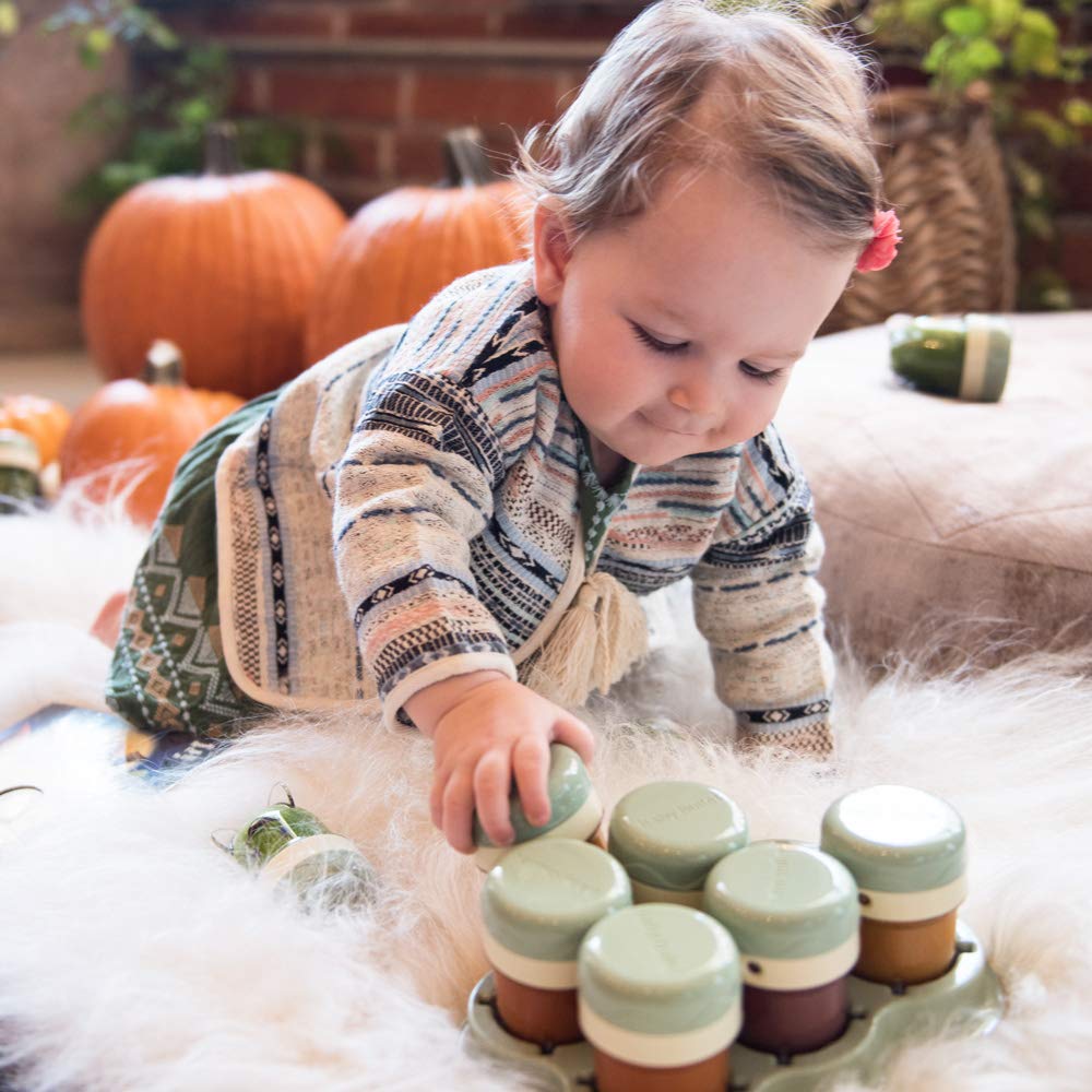 baby bullet storage completer kit