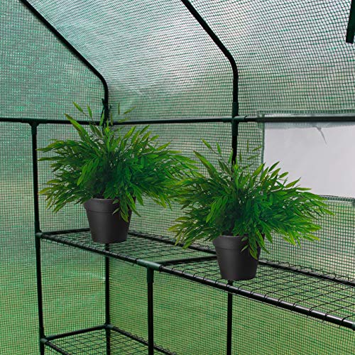 LINLUX Large Portable Walk-in Plant Greenhouse with PE Cover, 2 Tiers 8 Shelves Waterproof Gardening Steeple Greenhouse, Window Version and Roll-Up Zipper Door (56" W x 56" D x 77" H Inch)
