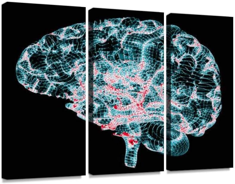 Brain, Neurons, synapses, Neural Network Circuit of Neurons, Print On