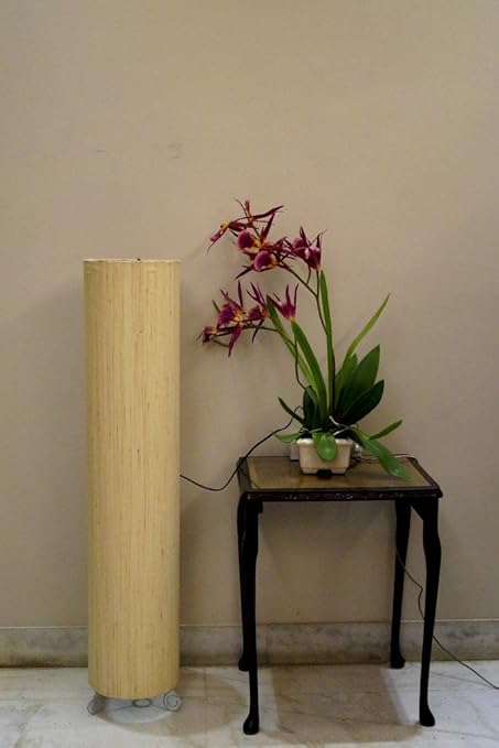 Tu Casa L-1031 Round 220-Watt Floor Lamp (Cream)