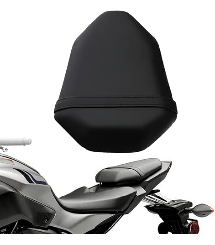 FZ1 With Passenger ?