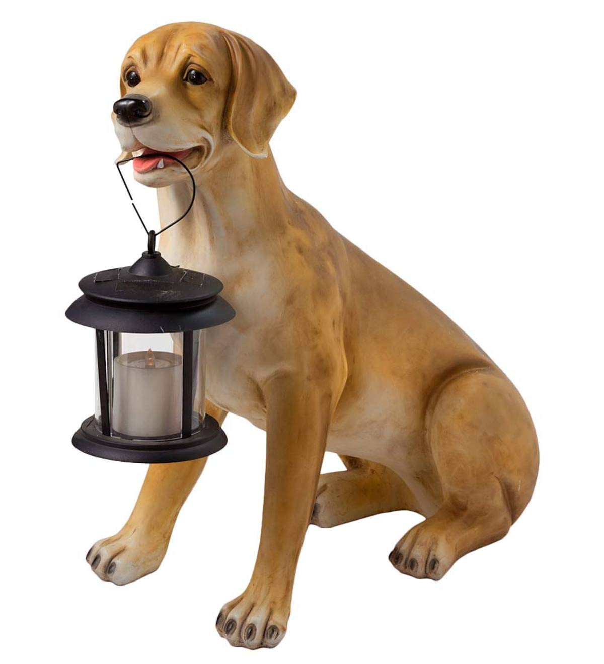 Best Solar Garden Statue Labrador