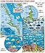 Long Island Bahamas Dive Map & Reef Creatures Guide Franko Maps Laminated Fish Card by