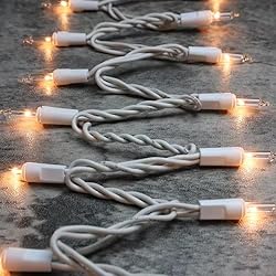 GLOWNOVA White Wire, Clear Incandescent Bulb 100