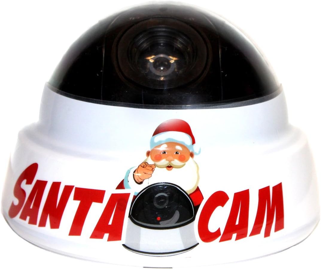 Santa Cam and Santa Cam Saves Christmas children's book