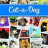 2017 Cat A Day Wall Calendar by 