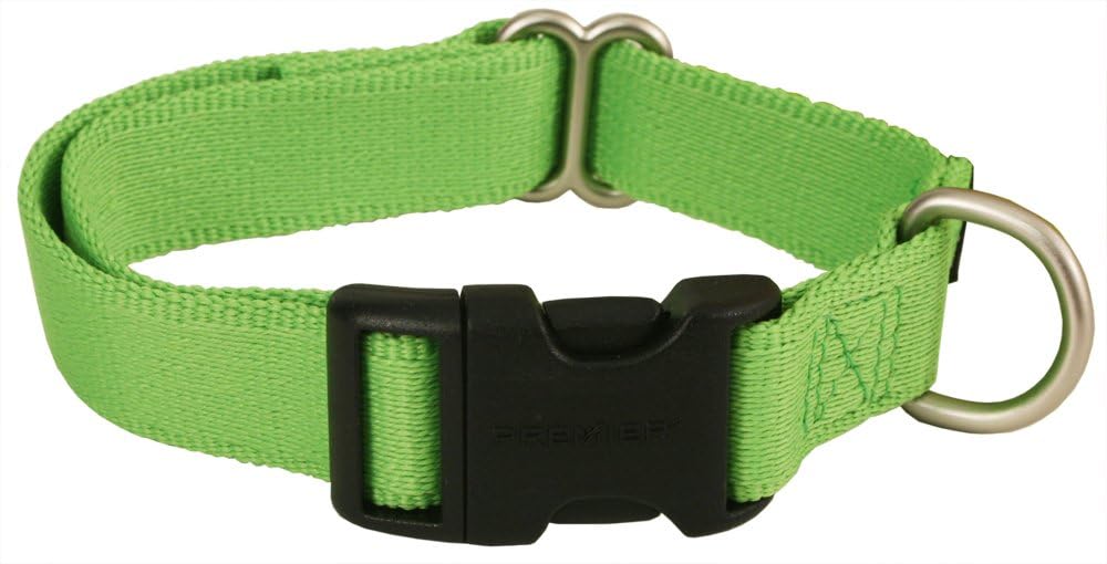 PetSafe Premier ECO Quick Snap Dog Collar, Small 3/4 Inch