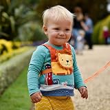 LittleLife Lion Safety Walking Harness Reins for Toddlers Orange 12x21 cm view 5