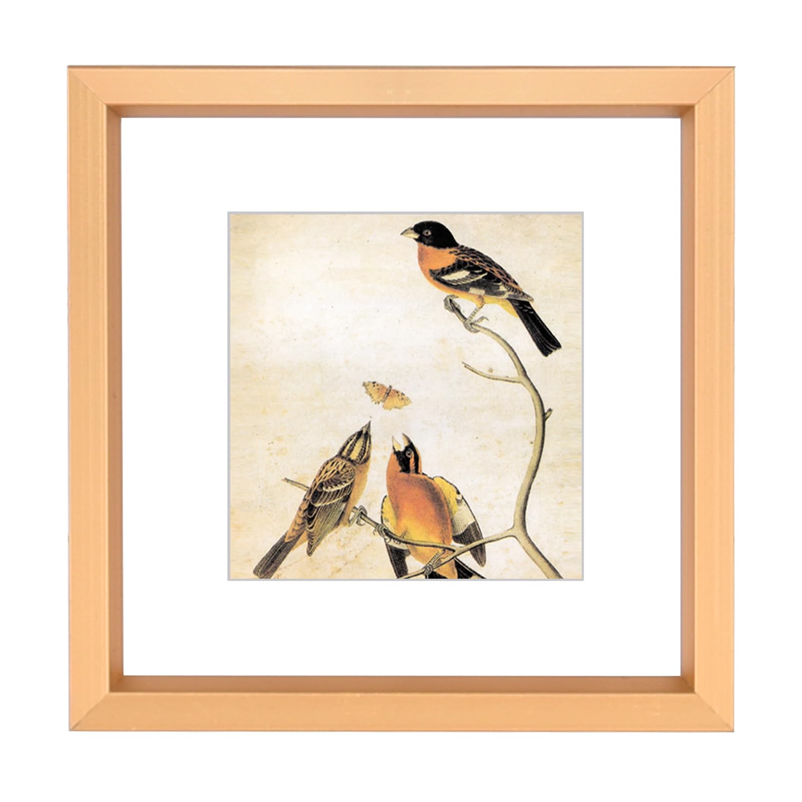 Photo 1 of 3x3 Picture Frame, Gold Metal Square Photo Frames with HD Glass, Fits 2x2 with Mat or 3 x 3 without Mat, Display for Wall and Table, 1 Pack