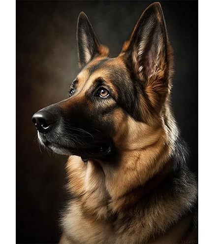 DIY 5D Diamantmalerei – German Shepherd Bild 60x100 Cm, Full Drill