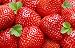 25 Sweet Charlie Strawberry Plants bare root