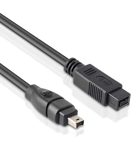 Câble Adaptateur Firewire 6 Broches Vers USB 2.0 - Longueur 20 Cm - Pour Transfert De Données Entre Appareils Firewire Et Ordinateur USB