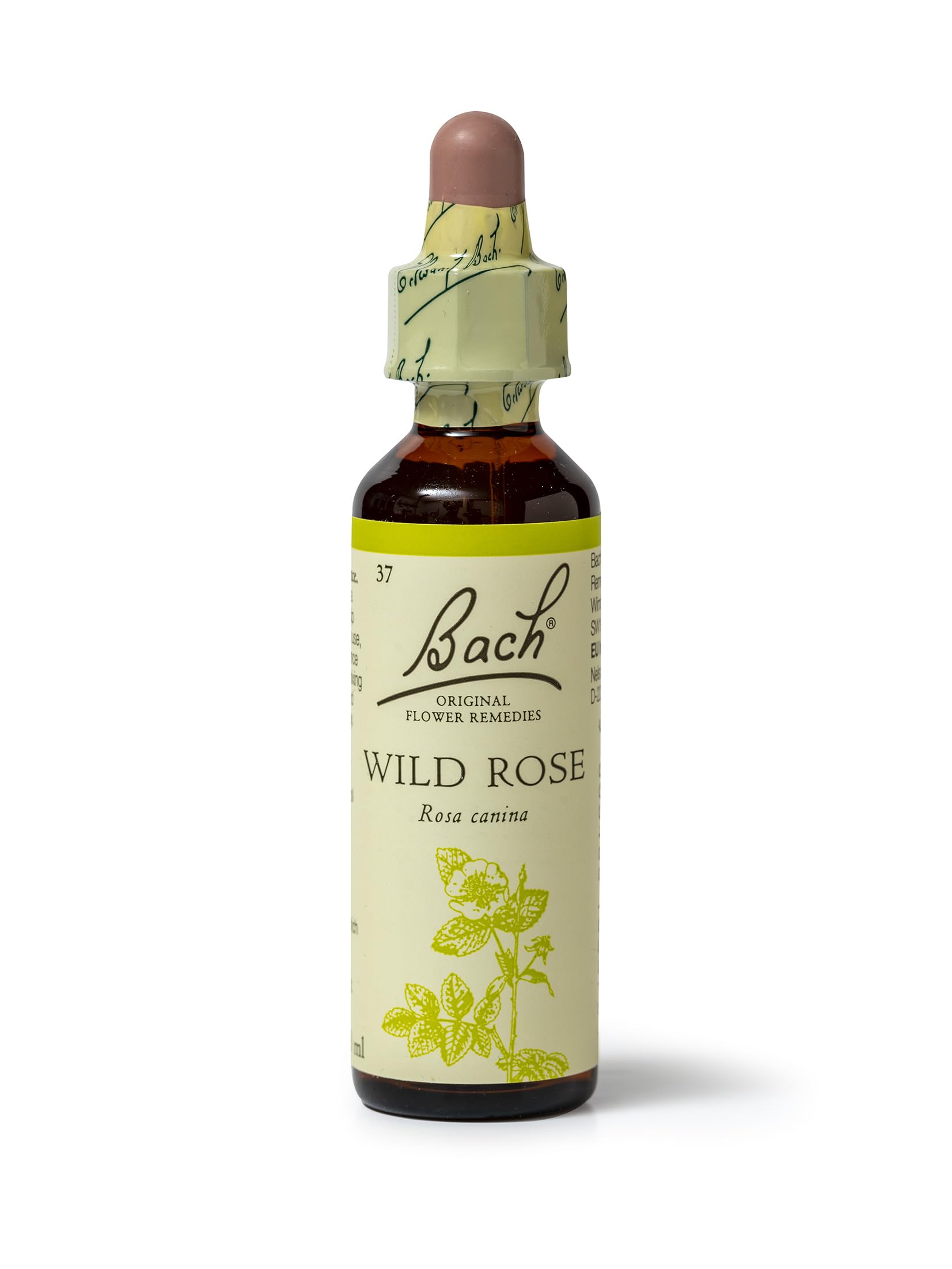 Bach Original Flower Remedies Wild Rose, Live The Day, Show Enthusiasm, Emotional Wellness, Natural Flower Essence, 20ml