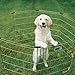 MidWest Homes for Pets Foldable Metal Dog Exercise Pen / Pet Playpen, Gold zinc w/ door, 24'W x 30'H, 1-Year Manufacturer's Warranty