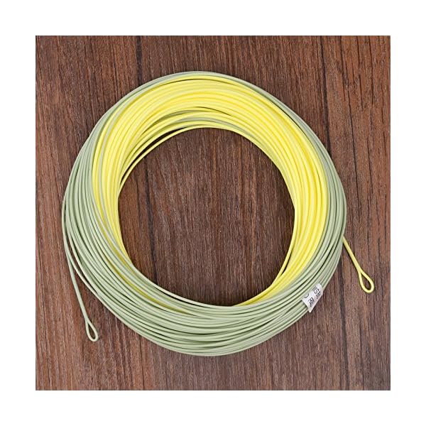 Maxcatch-Fly-Line-with-Welded-Loop-Weight-Forward-Floating-Line-100ft-OrangeBlue-3F4F5F6F7F8F