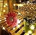 MZD8391 10 Pack Waterproof Fairy String Lights, MZD8391 20 LED 6.6 FT Copper Wire Lights for Bedroom Wedding - (Battery Operated)